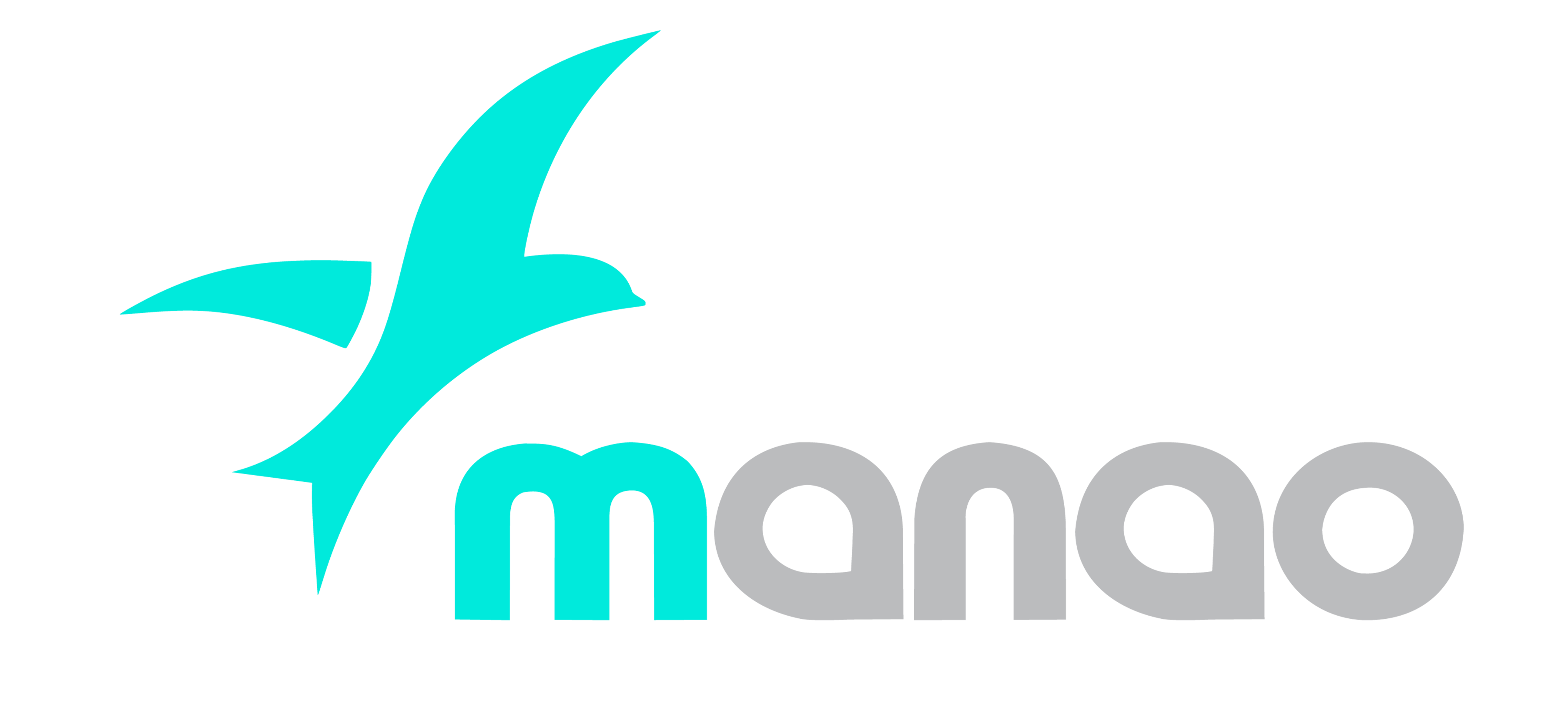 Groupe MANAO