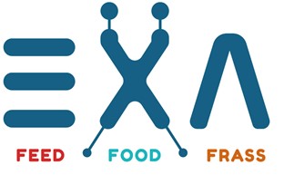 Offre d'emploi chez EXA